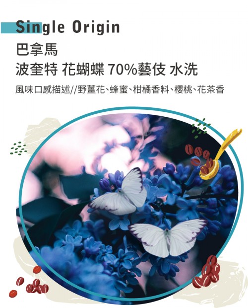 巴拿馬 波奎特 花蝴蝶 70%藝伎 水洗